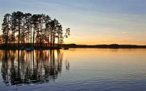 Tree Silhouette Lake Sunset Water Reflection Hd Wallpaper