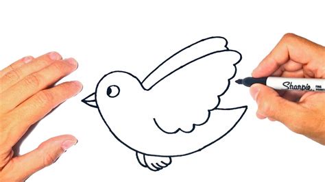 How To Draw A Flying Bird Step By Step Flying Bird Drawing Lesson
