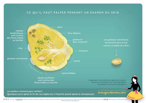 Cancer Du Sein Les Zestes Qui Sauvent Avec 12 Citrons