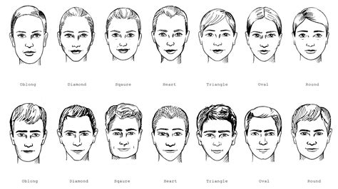 Face Shapes Drawing Face Shapes Male Face Shapes Face Shapes