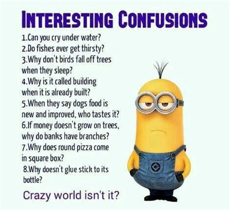 Confusing Questions That Never Get Answer Funny Funny Minion Memes