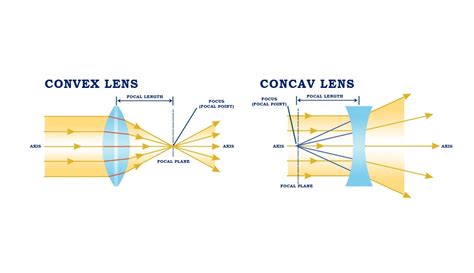 Difference Between Concave And Convex Lens Tutorreal