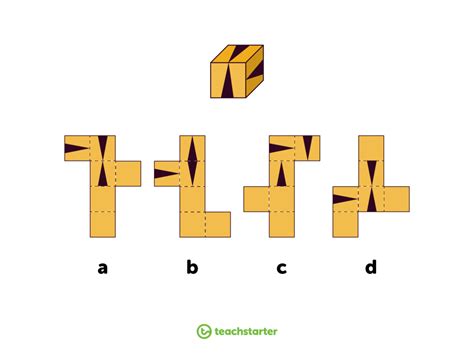 10 Visual Brain Teasers Kids Will Love Teach Starter