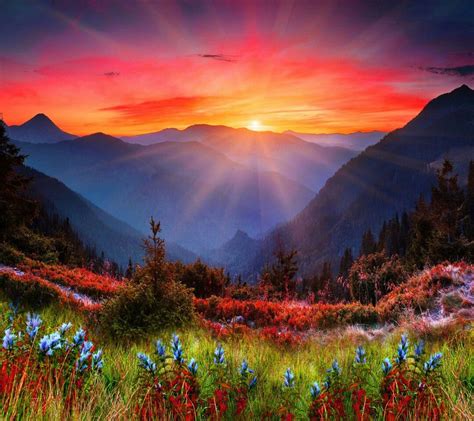Beautiful Mountain Sunset