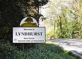 Las 15 mejores cosas que hacer en Lyndhurst (Hampshire, Inglaterra ...