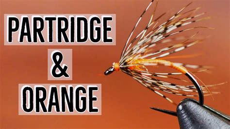 Partridge And Orange Soft Hackle Fly Pattern Fly Tying Tutorial Youtube