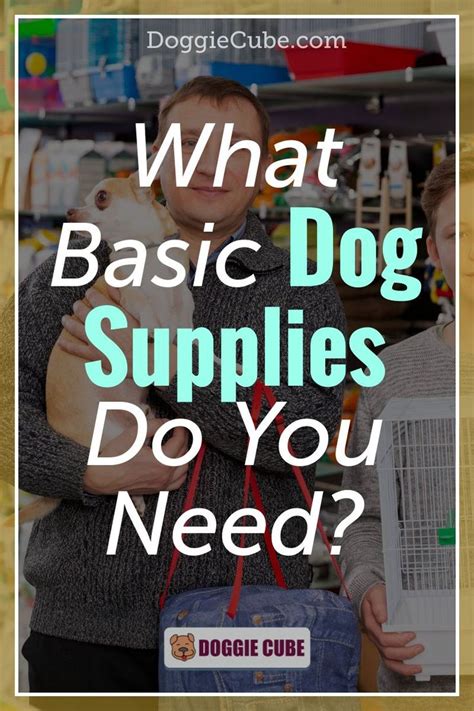 What Basic Dog Supplies Do You Need Doggie Cube In 2021 Dog