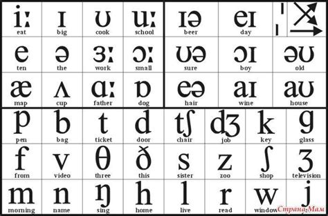 Английский язык Singular And Plural Words Abc Alphabet Abc Worksheets