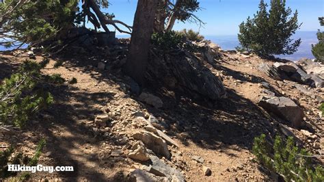 San Bernardino Peak Hike