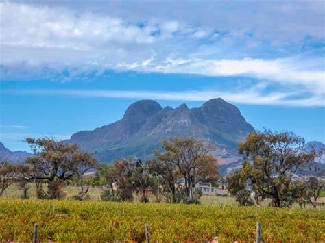 The Helderberg By Diana · 365 Project