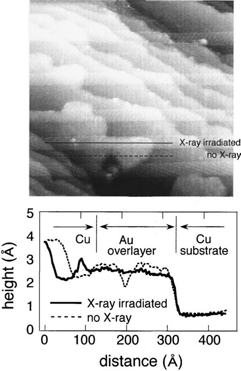 Upper Panel Stm Image Of The Au Cu Surface During Scanning The