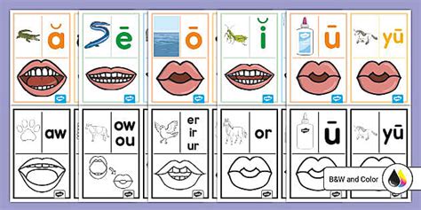 Sound Wall Vowel Valley Display Cards Twinkl