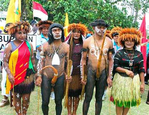 Pakaian Adat Papua Gambaran