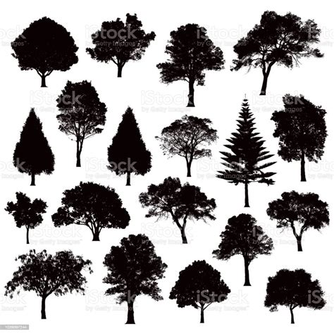 Detailed Tree Silhouettes Illustration Stock Illustration Download