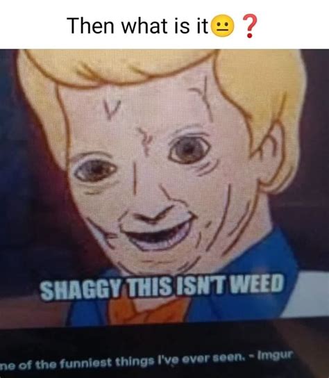 Imgur Then What Is SHAGGY THIS ISNT WEED Ne Of The Funniest Things I Ve Ever Seen