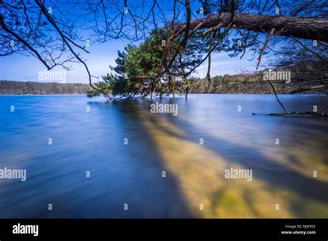 Lakeshore Trees Shade Water Surface Stock Photo Alamy