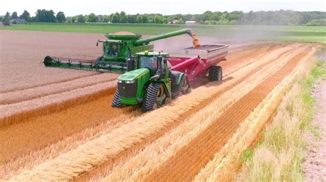 Candg Farms 2016 Illinois Wheat Harvest Youtube