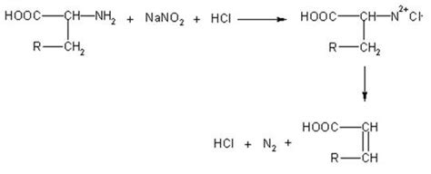 Benché le eliche siano poco comuni nelle realizzazioni architettoniche, rappresentano un tema strutturale nelle macromolecole amminoacidi basici (carica positiva a ph7). Amminoacidi