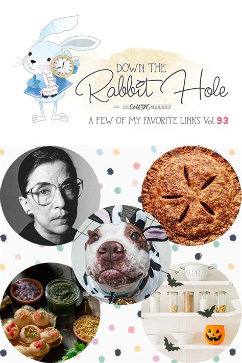 Down the rabbit hole, the fifth episode of the fourth season of csi:ny. Down the Rabbit Hole /// Where Fun Links & Pet Rescues ...