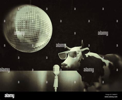 Cow Singing At Disco Stock Photo Alamy