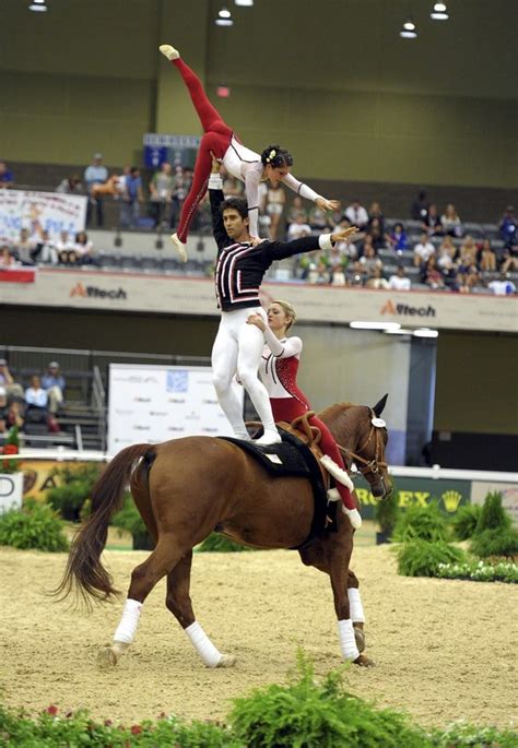 25 Most Popular Equestrian Sports You Must Know As A Horse Lover