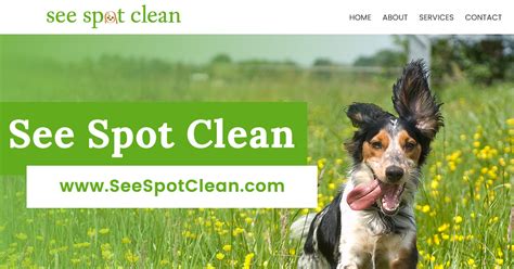 See Spot Clean Full And Self Serve Pet Grooming ~ 623 882 9595