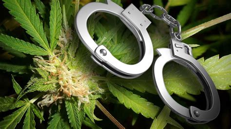 Washington — when federal regulators late last year accused one of the world's most popular cryptocurrency platforms of illegally selling $1.38 billion worth of digital money to investors, it was a. How did marijuana become illegal | History of Cannabis ...