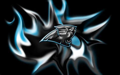 Pin by Yushica Burgess on Carolina Panthers | Carolina panthers