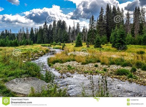 River Flows Through Meadows With The Forest As Background Stock Photo