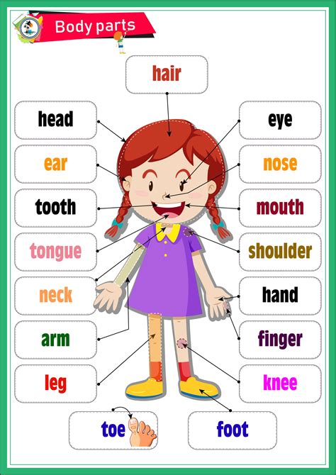 Natural Science 1 All About Me We Love English