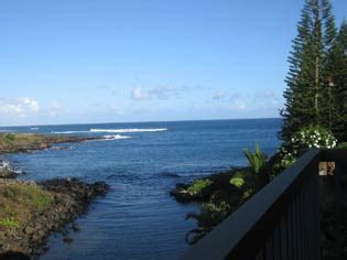 Our turtle cove cottage is located on a quiet side street, 20 feet from the water, and overlooks the cove at koloa landing and its green sea turtles, and out to the pacific in the exclusive baby beach. Poipu Kauai Oceanfront Vacation Home - Turtle Cove Cottage