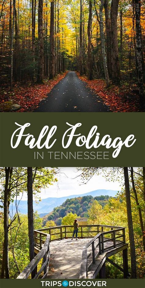 Embrace The Season With These 8 Spots In Tennessee Known For Its Fall