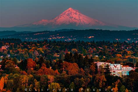 Pic Of The Week Sun Kissed Mount Hood Towers Over Peak Fall Foliage