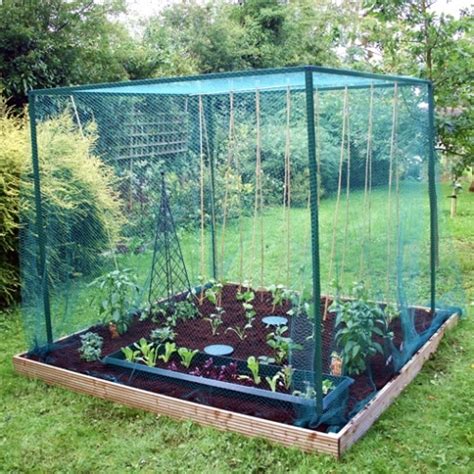 If fruit trees are in your plans you can create your own for a fraction of the price by grafting. 2m High Fruit Cage | Walk-In Bird Protection Netting Frame