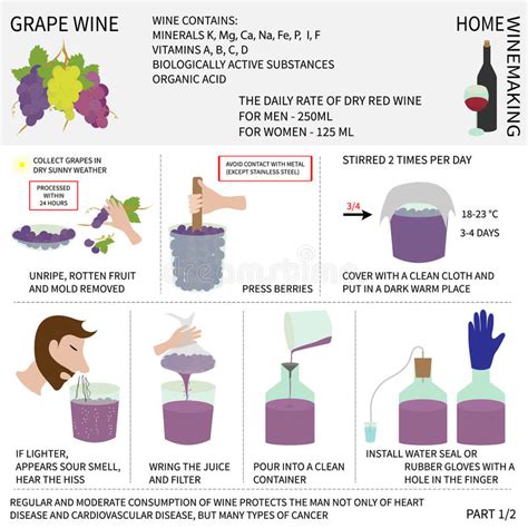 A simple method for making your own red wine vinegar at home. Home Wine Making. Wine From Grapes. Infographics. Stock ...