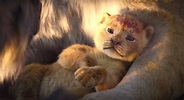New 'Lion King' teaser trailer shows off more of Simba in movie remake ...