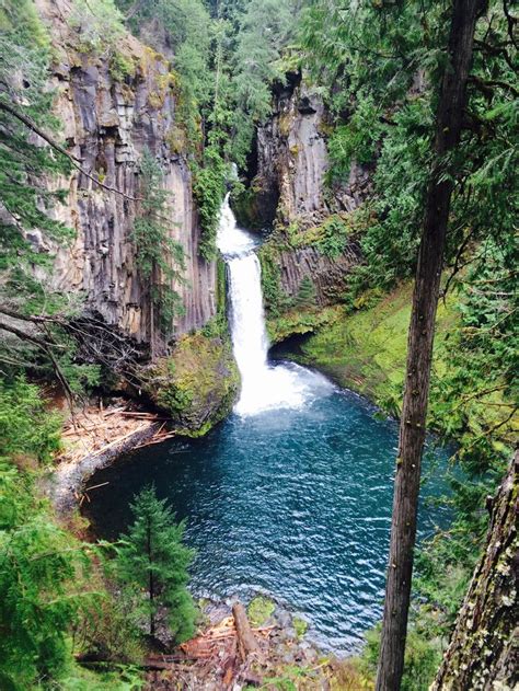 We did not find results for: Pin by Tyler Leventon on The Pacific Northwest | Pacific ...