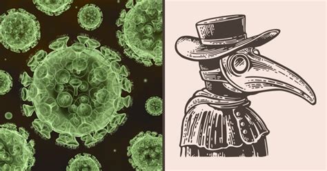 Por un lado, era un huésped inesperado, desconocido y fatal. Peste negra: o que é, sintomas, tratamento e transmissão ...