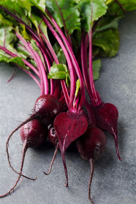Ruby Queen Beet Seeds For Planting Survivalgardenseeds Ph