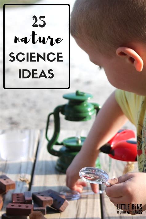 Preschool Science Center Ideas