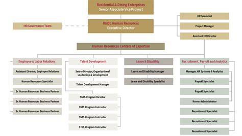 Human Resources Organizational Chart Stanford Randde