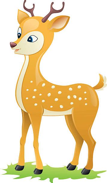 Best Axis Deer Illustrations Royalty Free Vector Graphics And Clip Art
