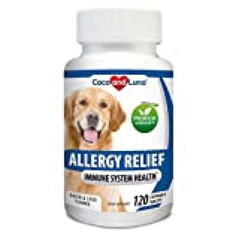 Allergy Relief For Dogs Immune Support For Dogs With Omega 3 Fish