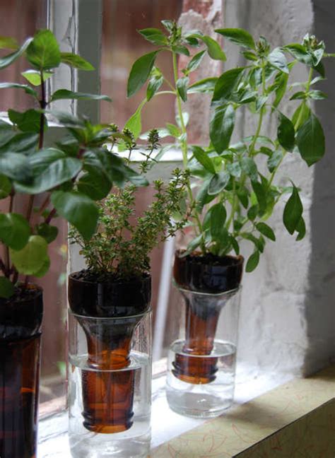 Diy Self Watering Wine Bottle Herb Garden Off Grid World