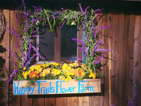 Happy Trails Flower Farm In Mississippi Is A Must Visit This Spring