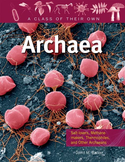 Archaea Kingdom Nature Kingdoms