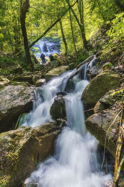 Mountain Waterfall In Spring Forest Stock Image Image Of Natural