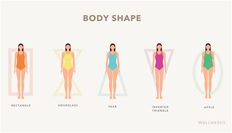 Body Shape Calculator Find Your True Body Type
