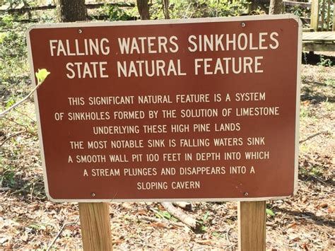 The Tallest Waterfall In Florida Is In Falling Waters State Park