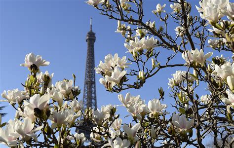 Flowers Bloomed Around The Eiffel Tower In Paris Stunning Spring